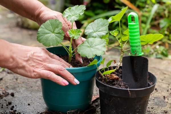 Les équipements indispensables pour entretenir votre jardin
